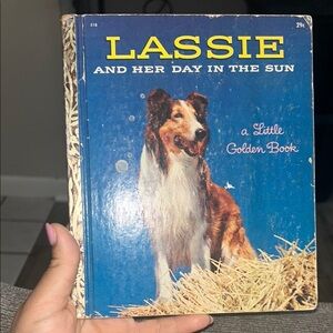 Lassie and Her Day in the Sun Book